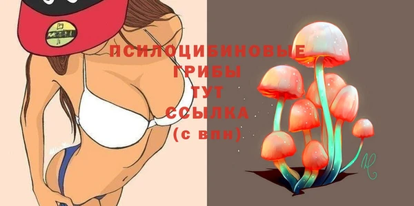 COCAINE Гусь-Хрустальный