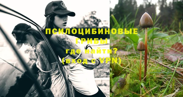 спайс Гусиноозёрск
