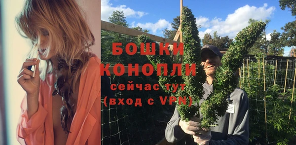 МДПВ Дмитровск