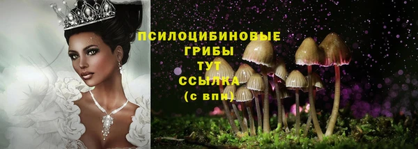 COCAINE Гусь-Хрустальный