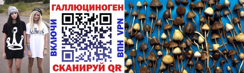 Галлюциногенные грибы Psilocybe  Купить закладки  Островной 